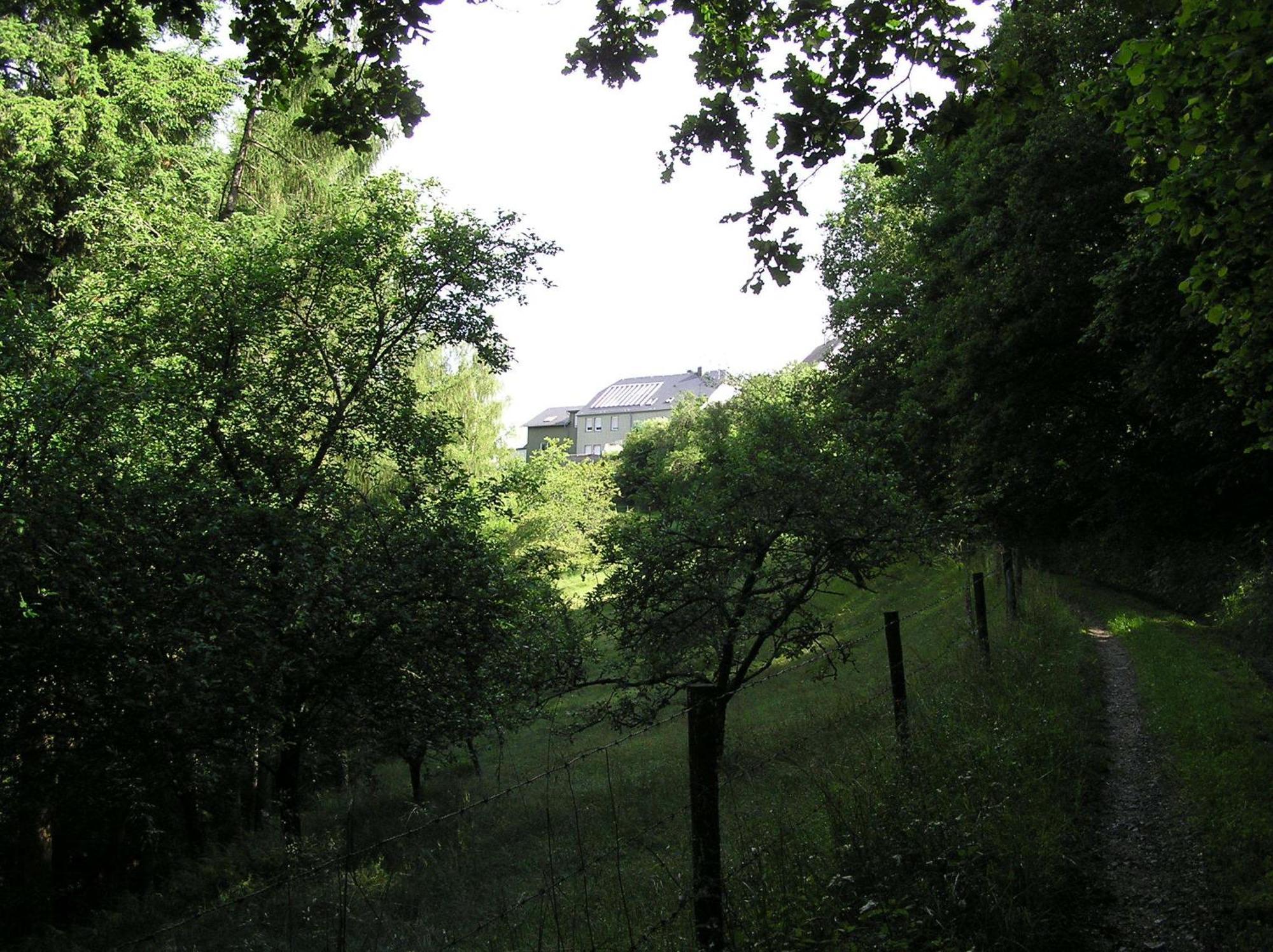 Ferienwohnung Nisius Geisfeld  Exterior foto